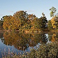 Häckebergasjön i höstskrud