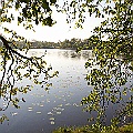 Häckebergasjön i juni